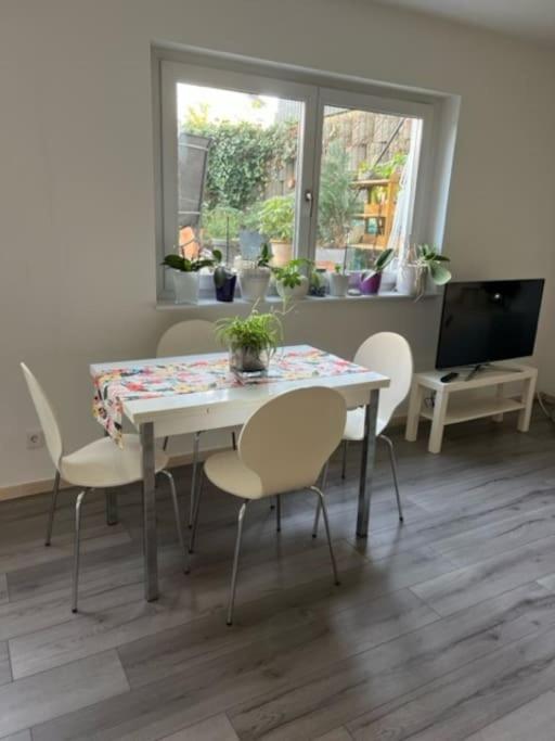 Gemuetliche Einliegerwohnung Apartment *